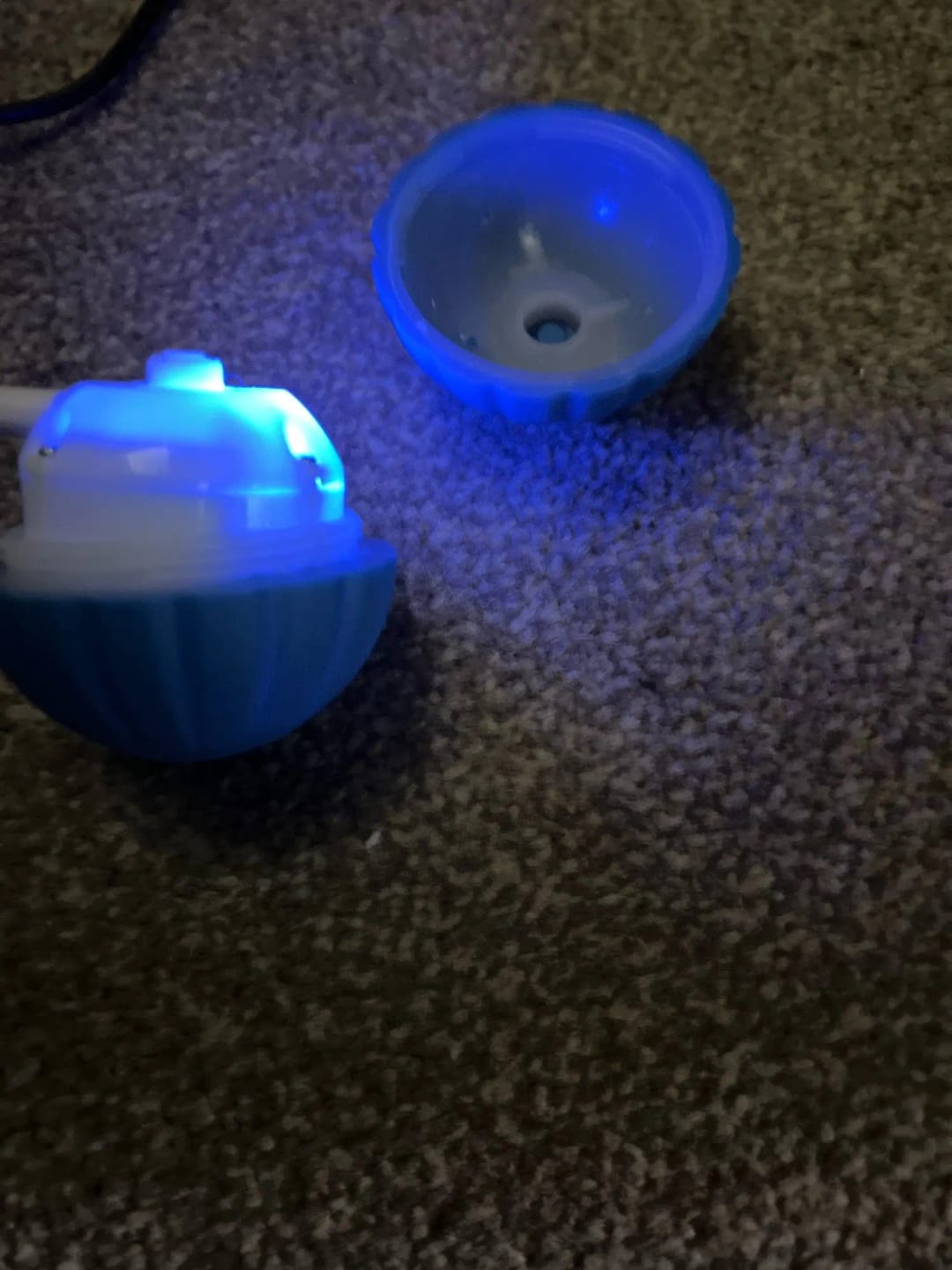 Customer photo review of Pelota Interactiva para Perros y Gatos – Movimiento Automático + Carga USB-C