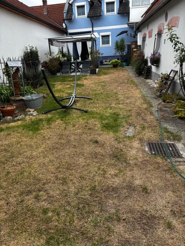 Customer's RASENBLITZ™ treated garden area, showing brown, damaged grass before further treatment.