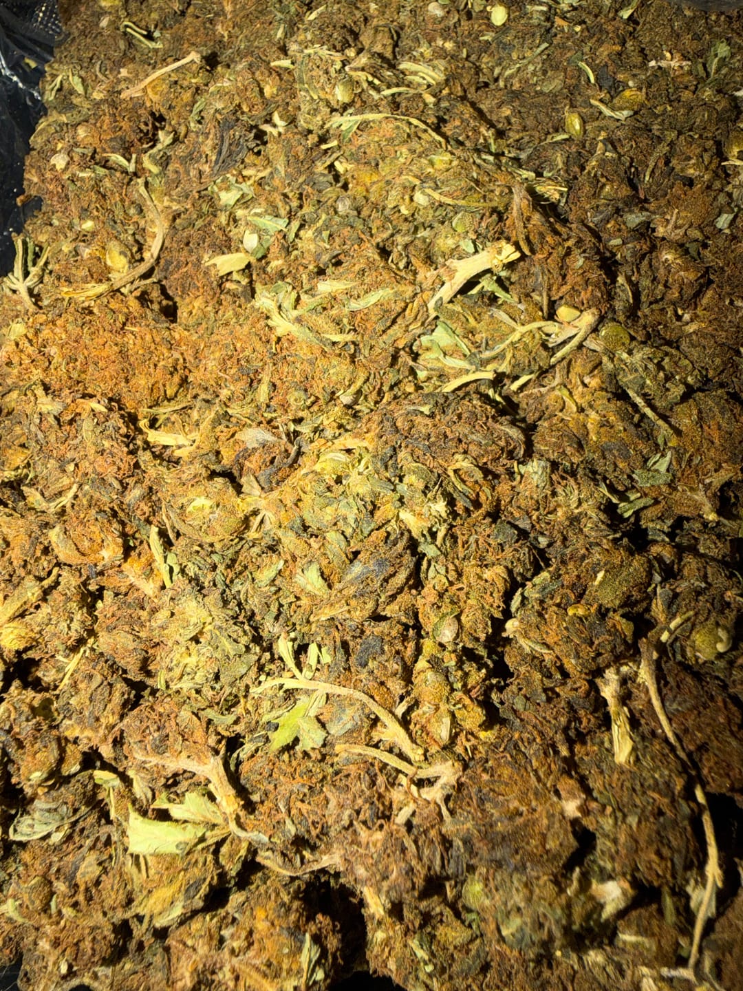 Customer photo review of Butterscotch OG - Bulk - Indica