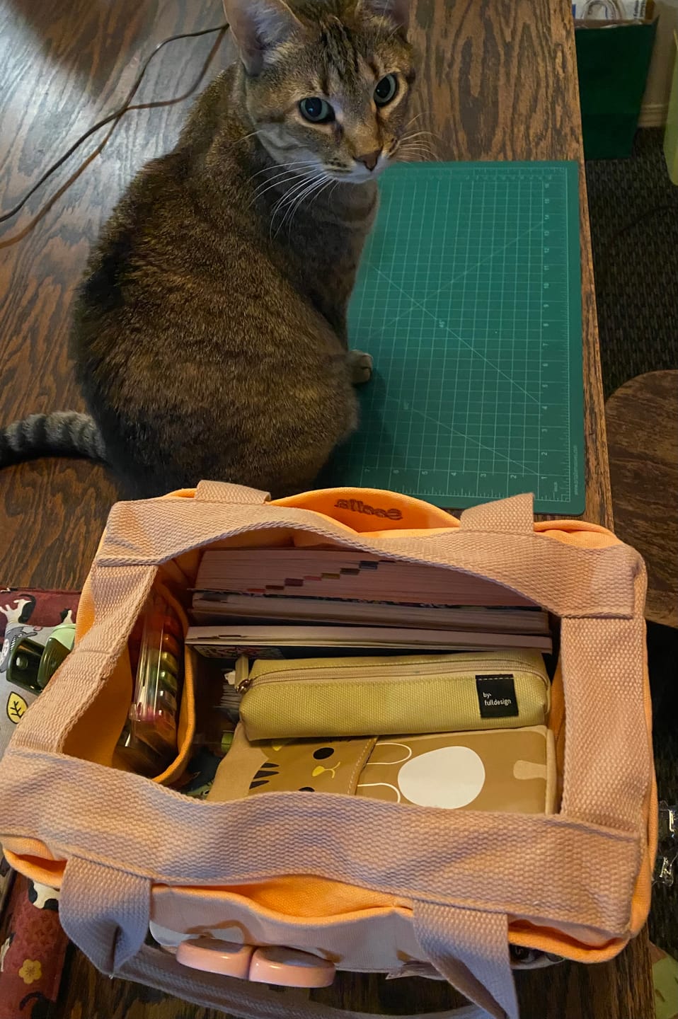 Customer photo review of Soolla® Studio Bag, Creamsicle Crush