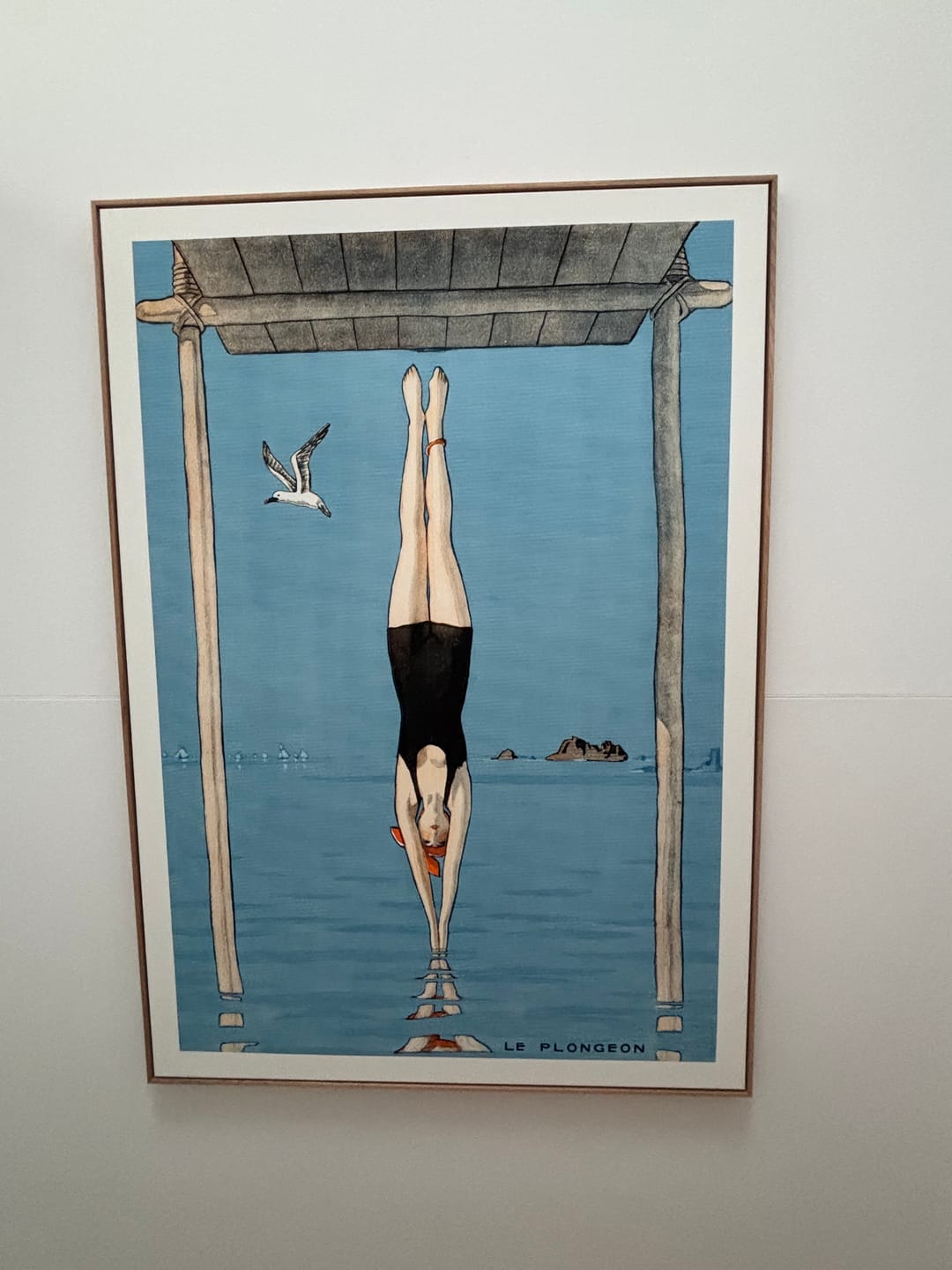 Customer photo review of LE PLONGEON 1918 | FRANCE