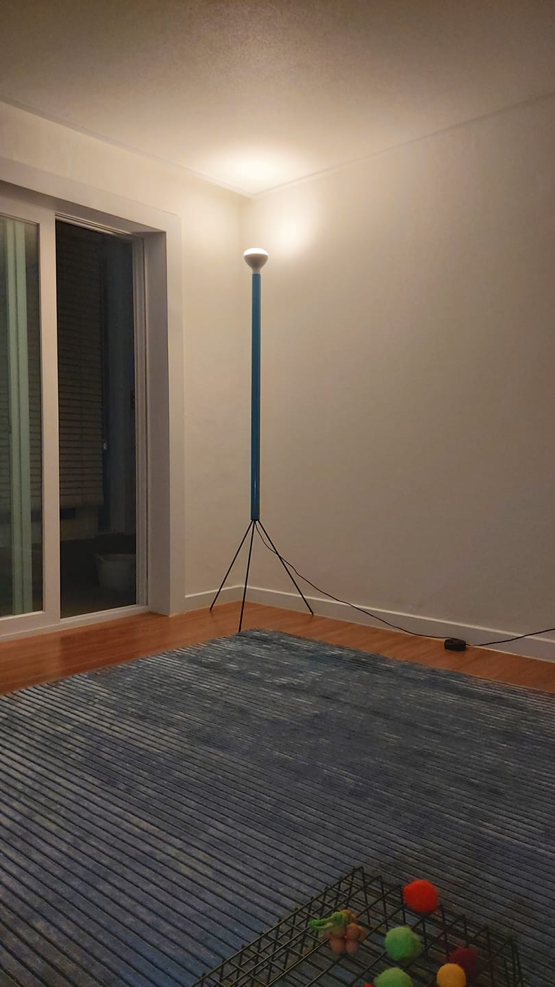 Customer photo review of Luminator Floor Lamp