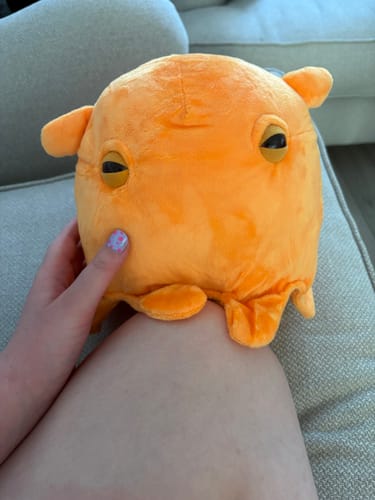 Customer photo review of Adorable Dumbo Octopus Plush – Soft, Lifelike, and Perfect for Sea Life Lovers