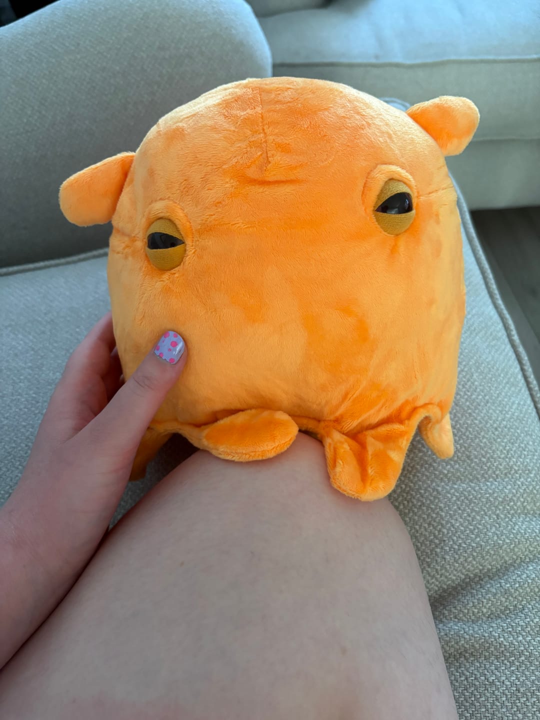 Customer photo review of Adorable Dumbo Octopus Plush – Soft, Lifelike, and Perfect for Sea Life Lovers