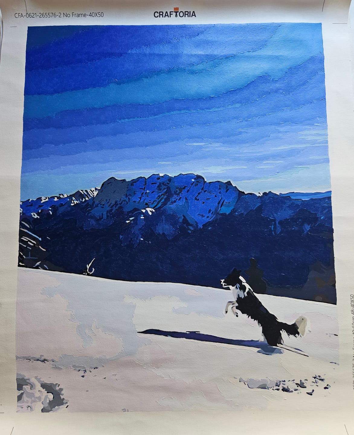 Customer photo review of Custom Paint By Numbers Kit