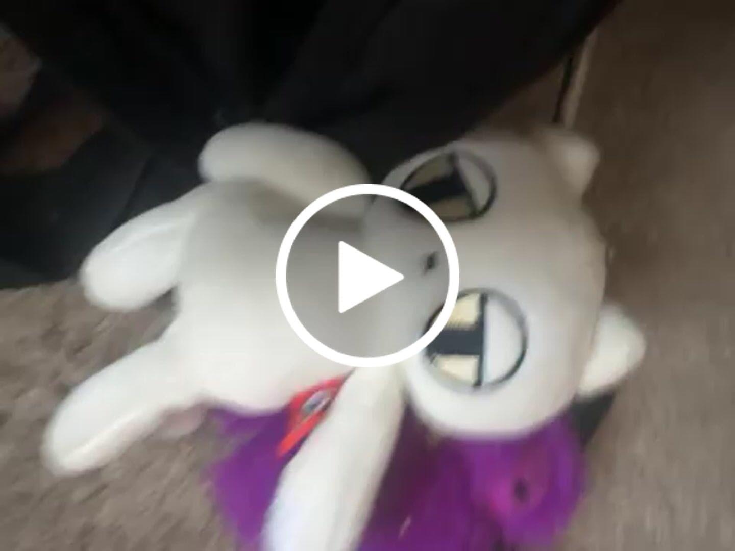 Customer video review of MeowBro Scrunch Plush