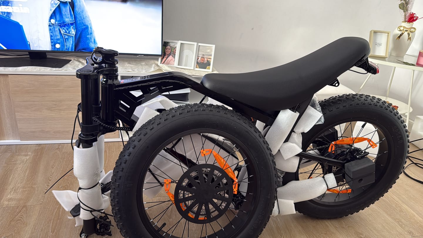 Customer photo review of Eskute V202 Retro E-Bike