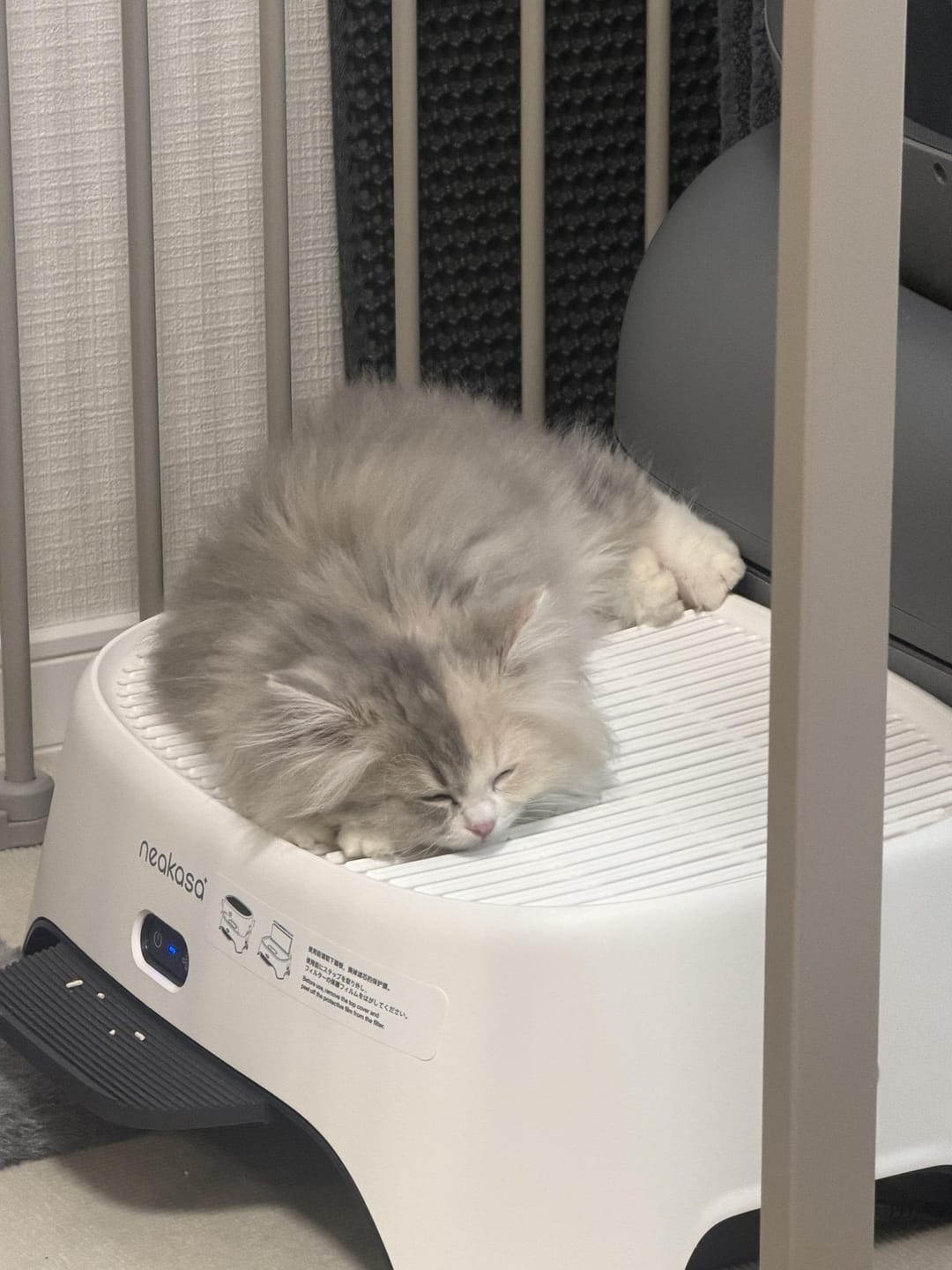 Customer photo review of Neakasa M1 Plus オープン型全自動猫トイレ