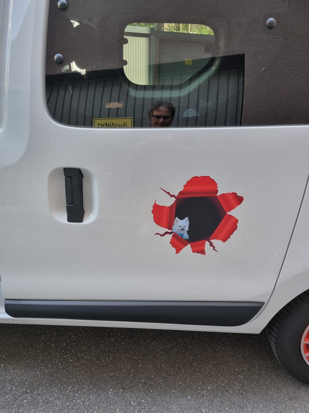 Customer photo review of Personalisierter Autoaufkleber - Spähendes Foto