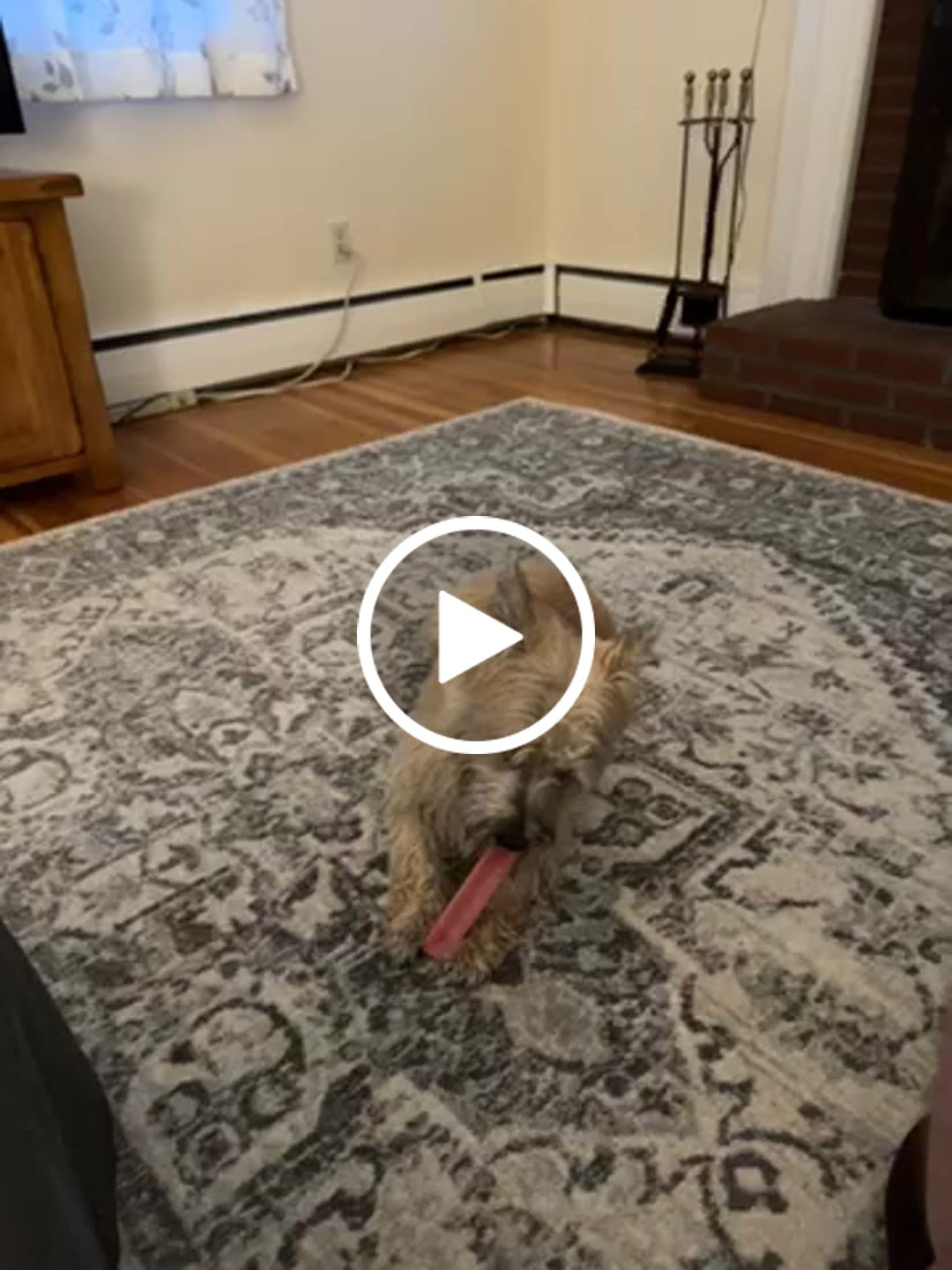 Customer video review of Strawberry Yak Chew — Vitamin C, Fiber & Teeth Whitening
