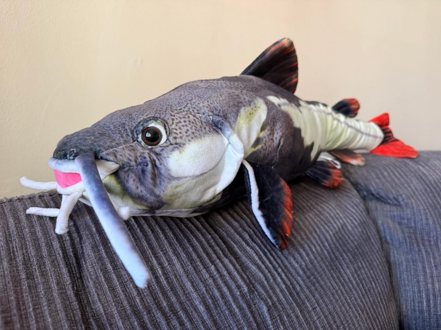 Customer photo review of Redtail Catfish Soft Stuffed Plush Toy