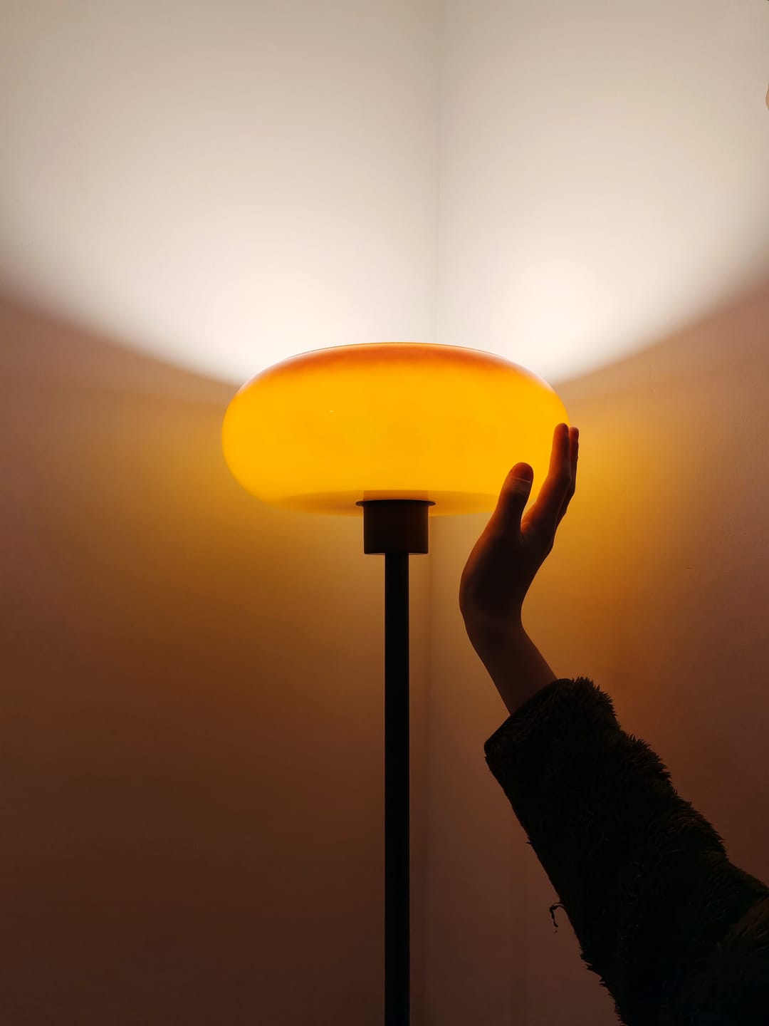 Customer photo review of 75-Inch Black Metal LED Floor Lamp with Amber Glass Shade