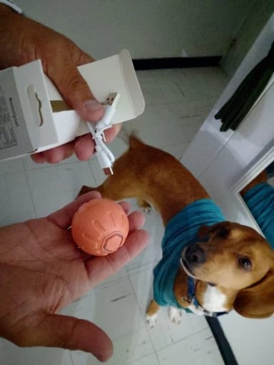 Customer photo review of Pelota Interactiva para Perros y Gatos – Movimiento Automático + Carga USB-C