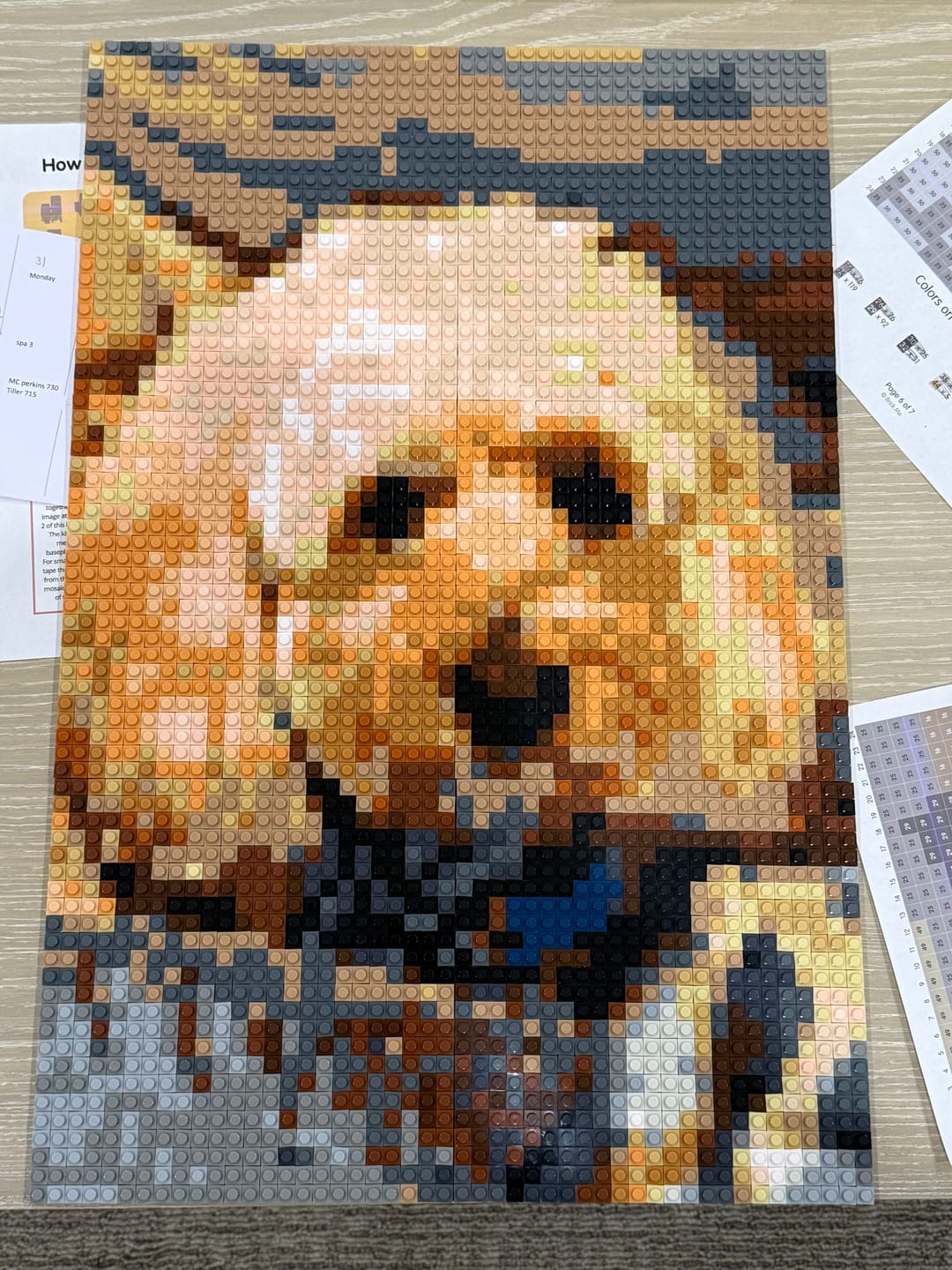 Customer photo review of Custom Design Brick Mosaic - 2x3 baseplates