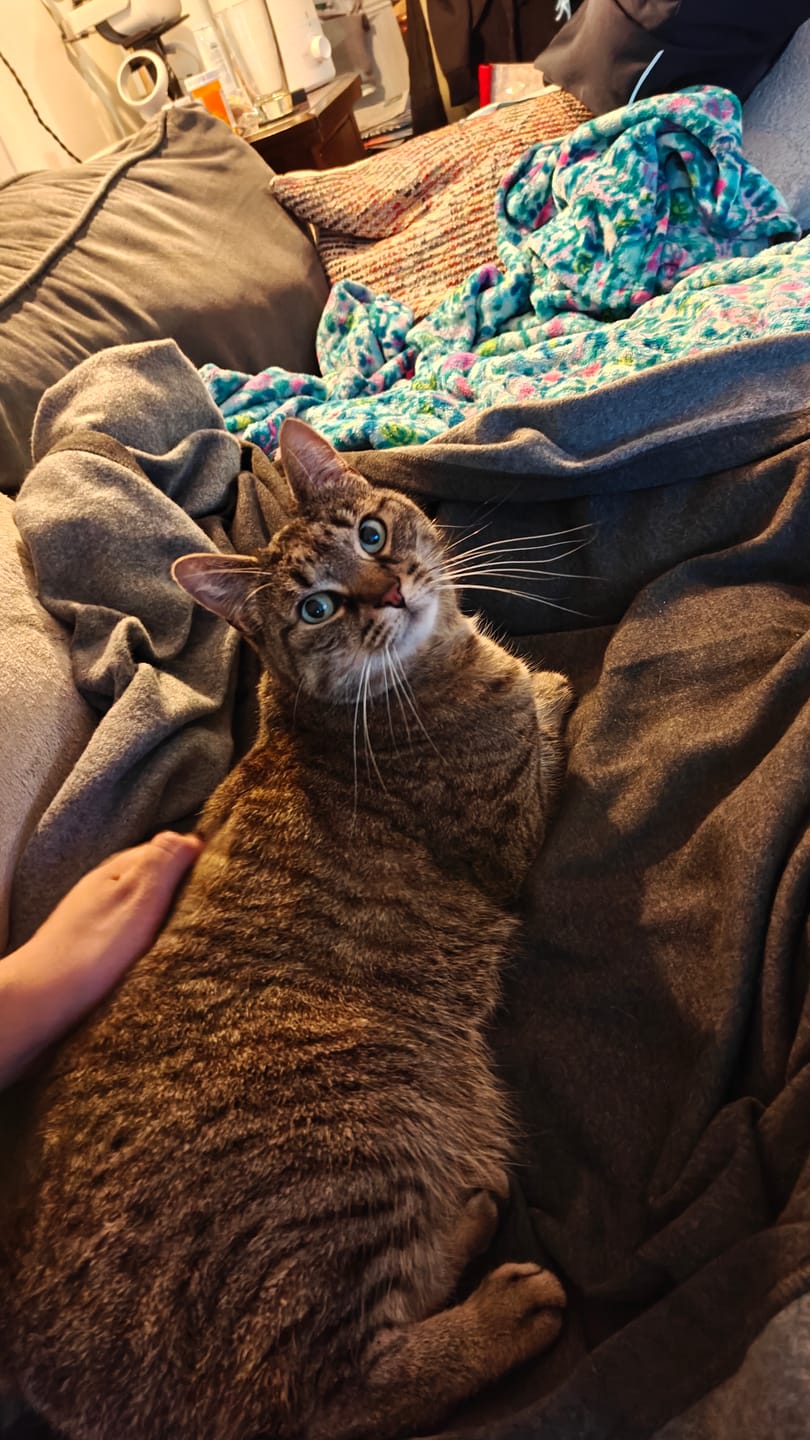 Customer photo review of 80Eighty® Blanket