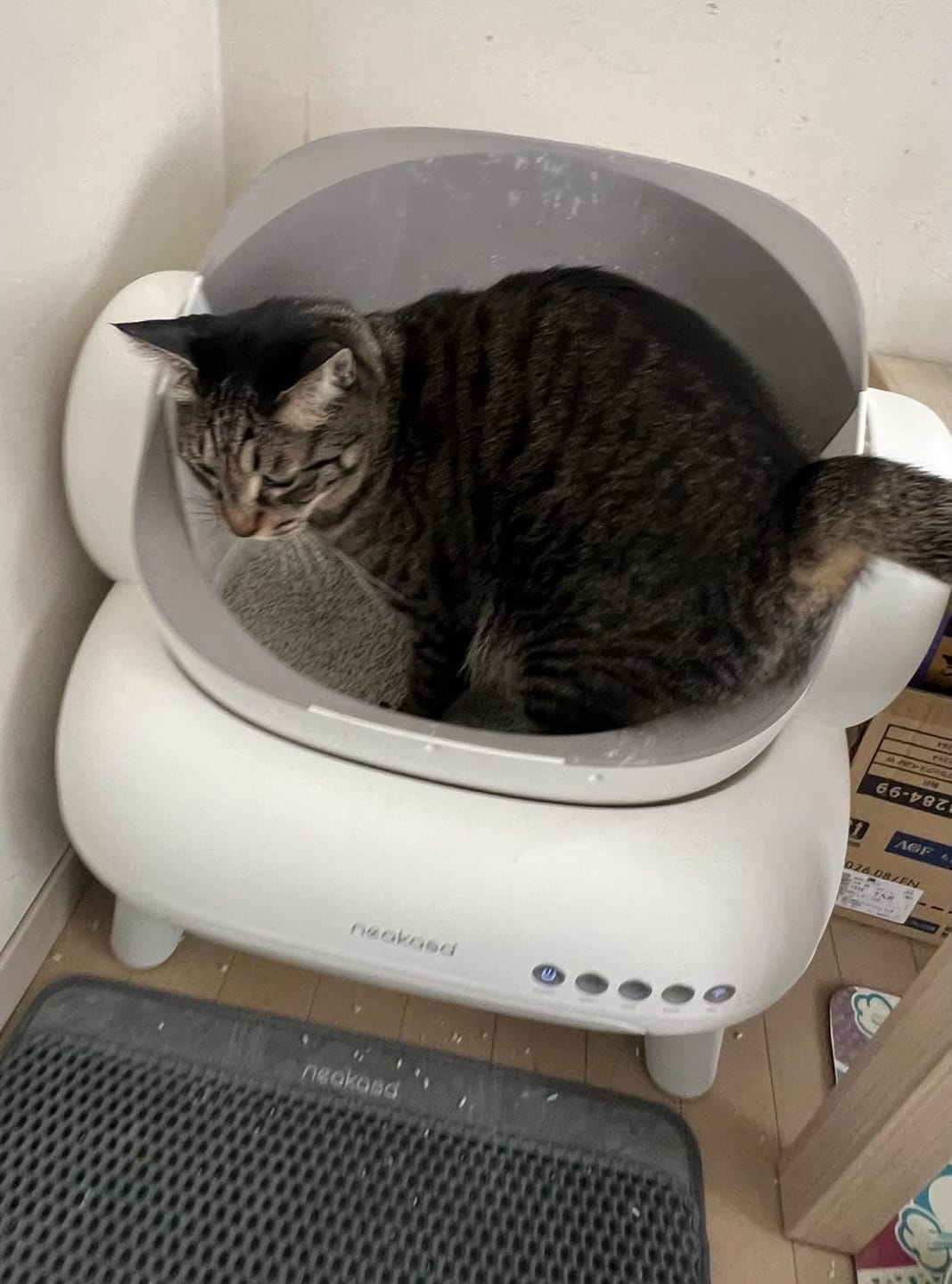 Customer photo review of Neakasa M1 Plus オープン型全自動猫トイレ