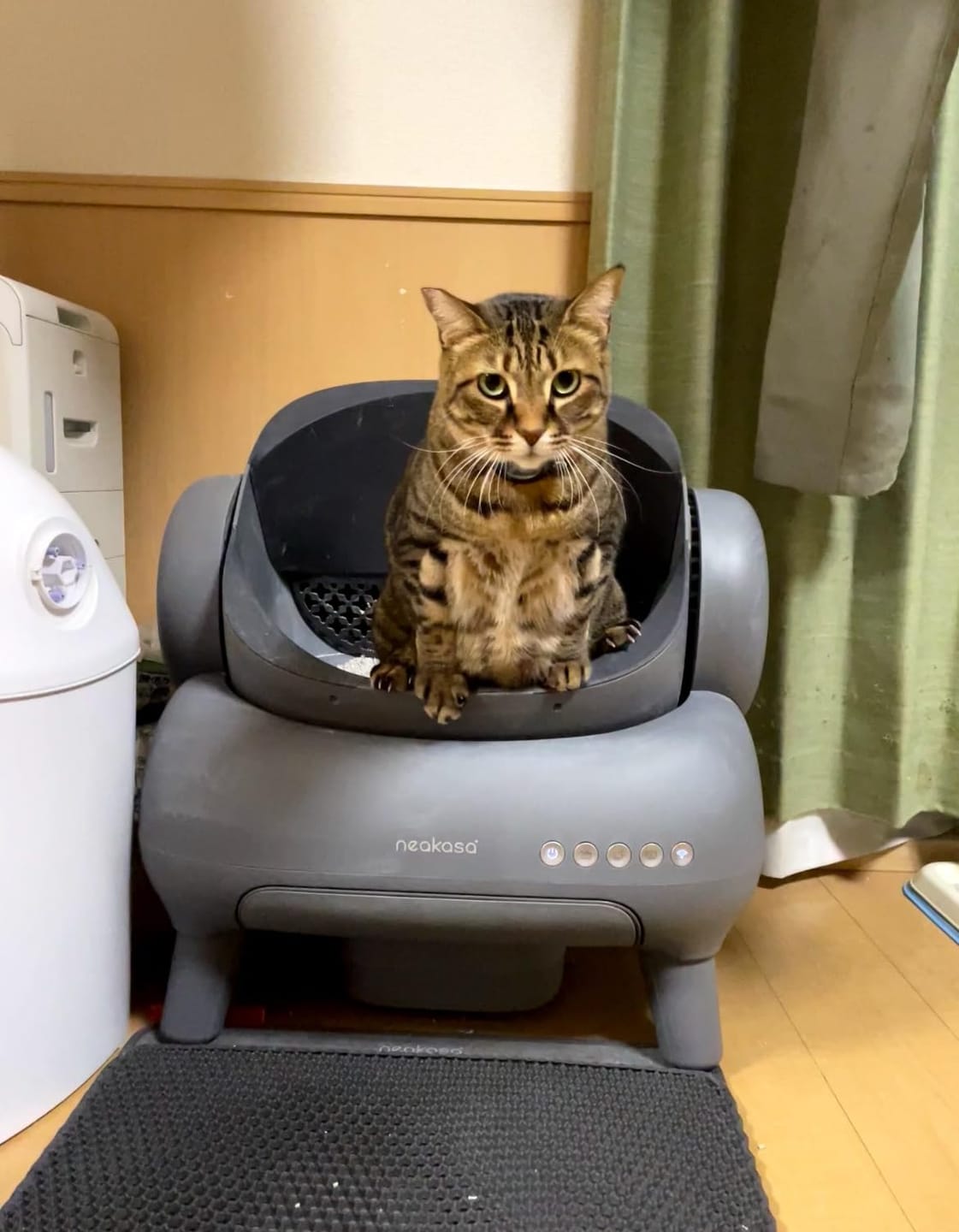 Customer photo review of Neakasa M1 Plus オープン型全自動猫トイレ
