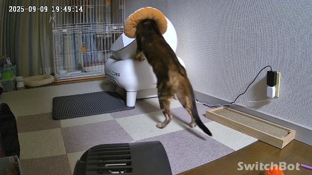 Customer photo review of Neakasa M1 Plus オープン型全自動猫トイレ
