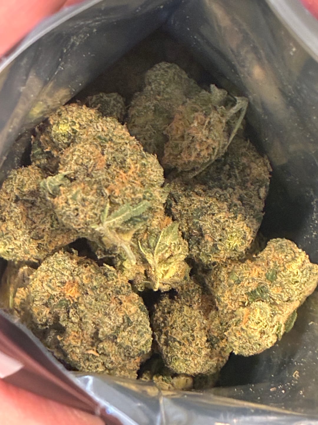 Customer photo review of Biscotti THCA Flower (Premium)