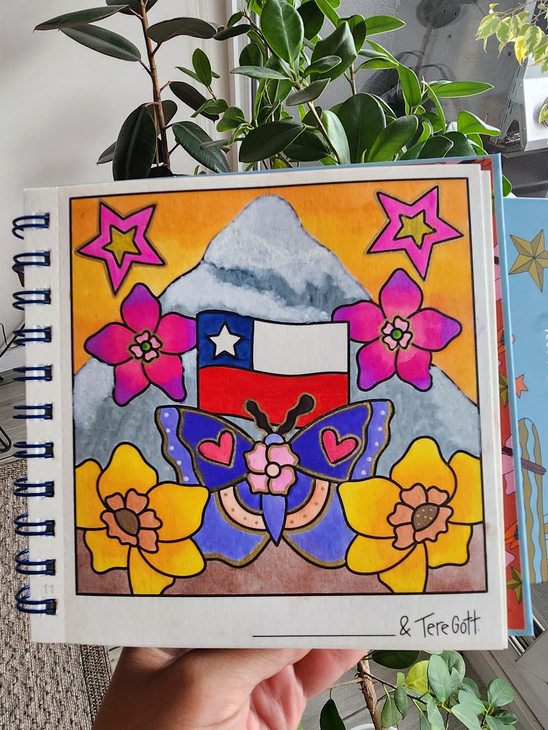 Customer photo review of LIBRO WANDER
