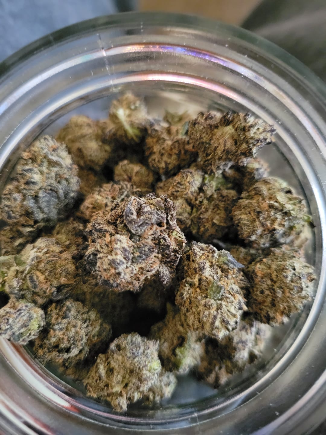 Customer photo review of ZKittles - Indoor