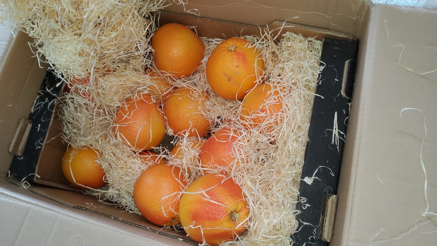 Customer photo review of Grapefruit Bio Pink Sparpreis-Box