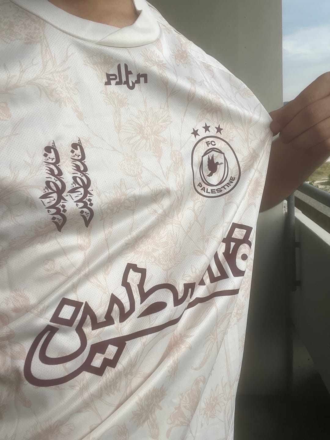Customer photo review of Palestine Beige velvet