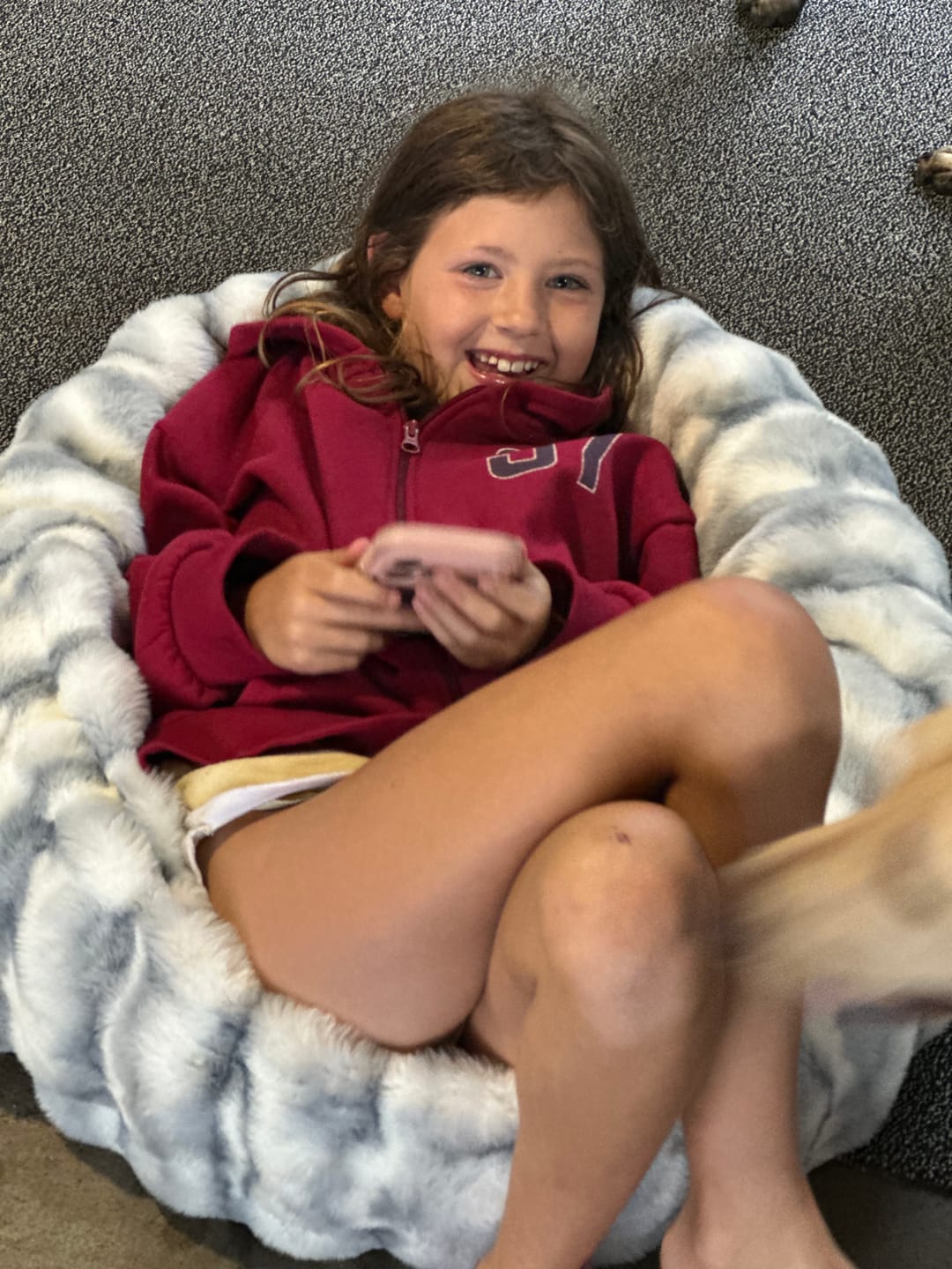 Customer photo review of Cloudy Day Blue Pet Bed