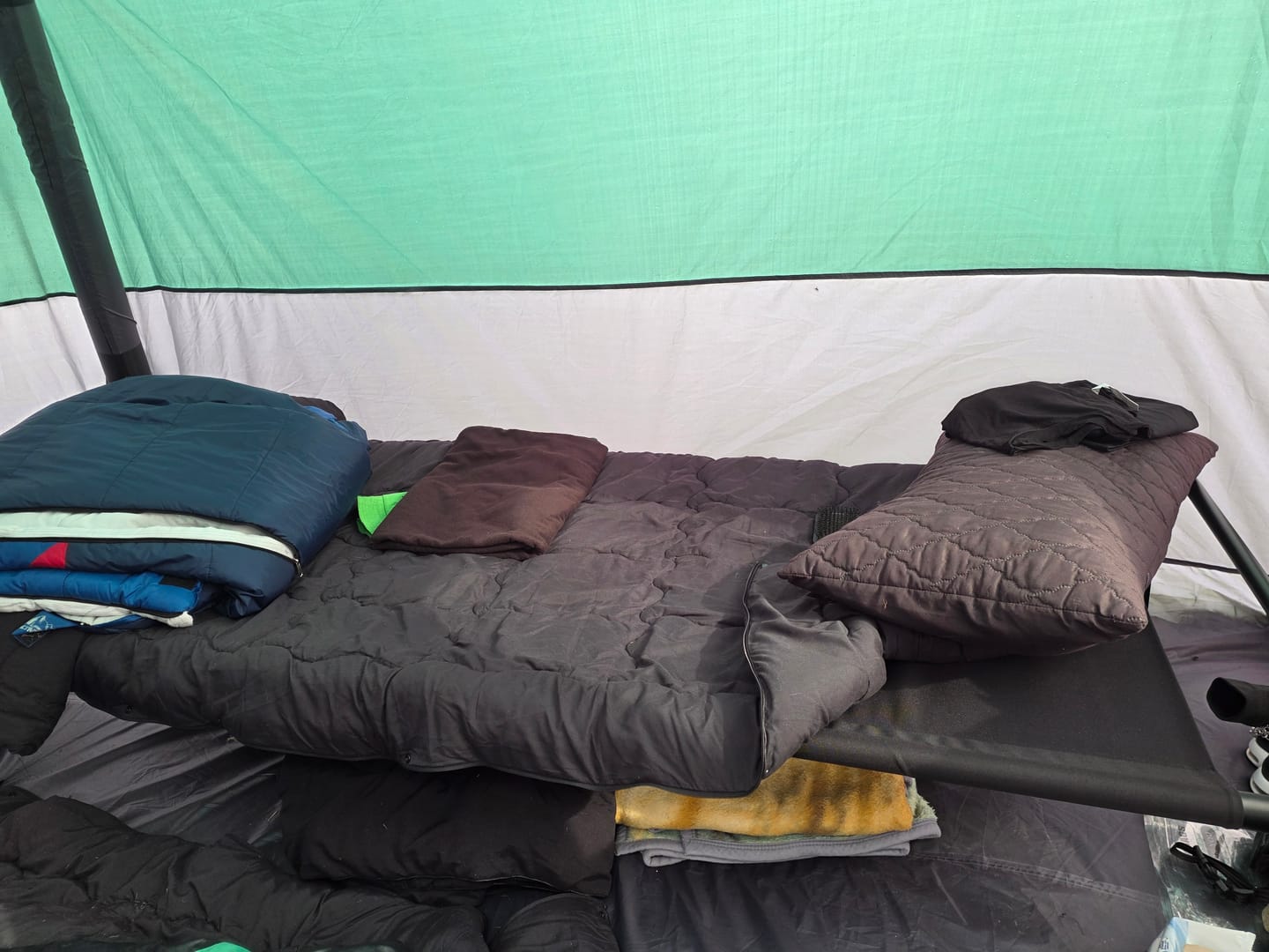 Customer photo review of Disc-O-Bed ONE