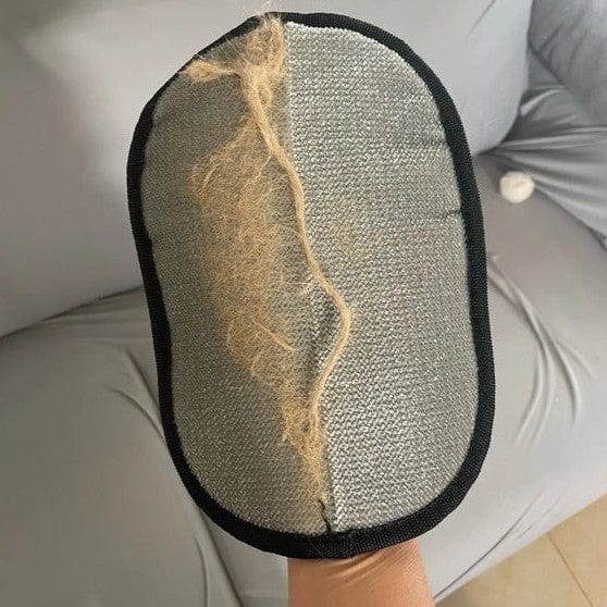 Customer photo review of Sausage Glove | Effortlessly Remove Dachshund Hair