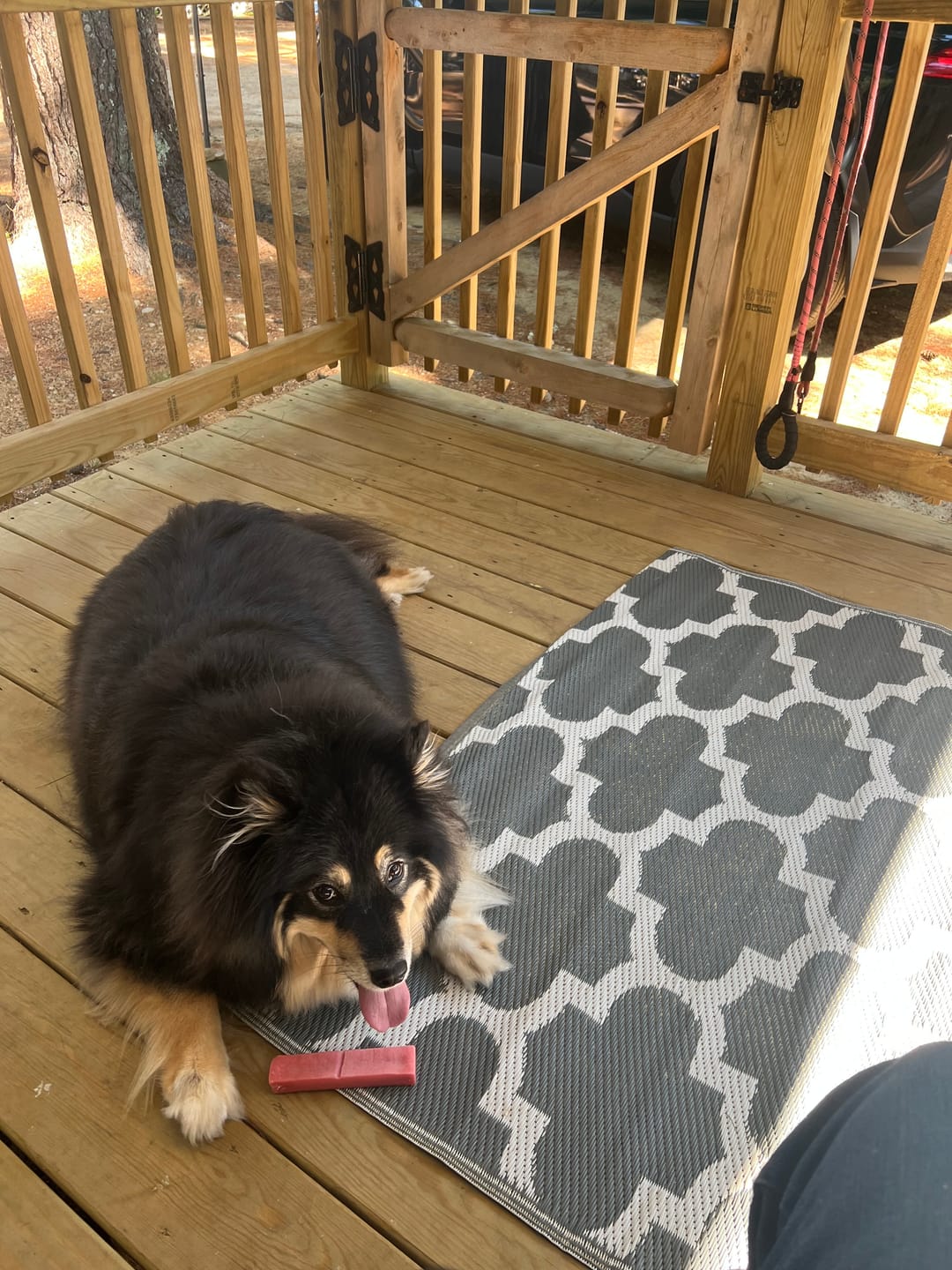 Customer photo review of Strawberry Yak Chew — Vitamin C, Fiber & Teeth Whitening