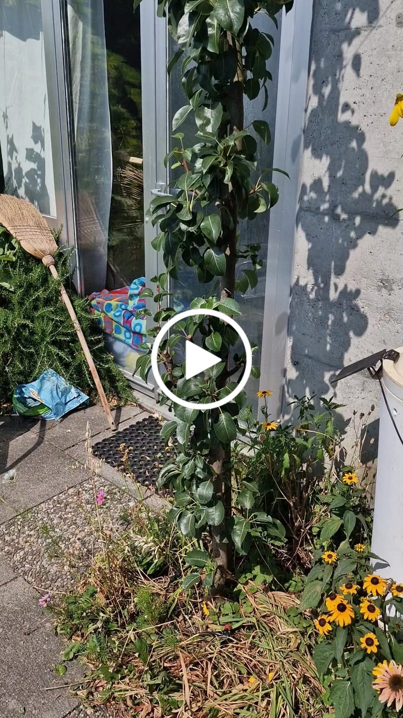 Customer video review of Boum Drip - Tröpfchenbewässerung (Starterset)