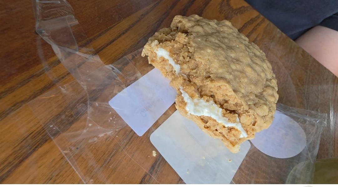 Customer photo review of Original Oatling Oatmeal Cream Pies