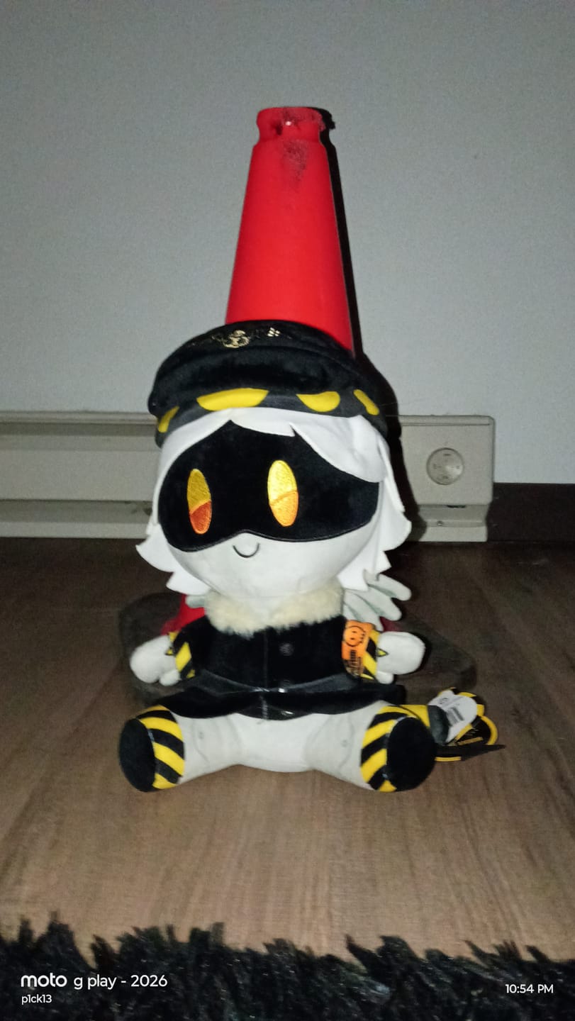 Customer photo review of N Plush