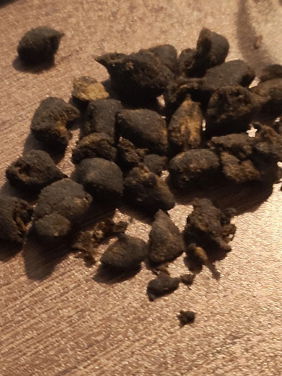 Customer photo review of Moon Rock THCX