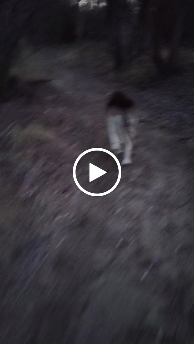 Customer video review of 4CYTE Canine Epiitalis Forte for Dogs