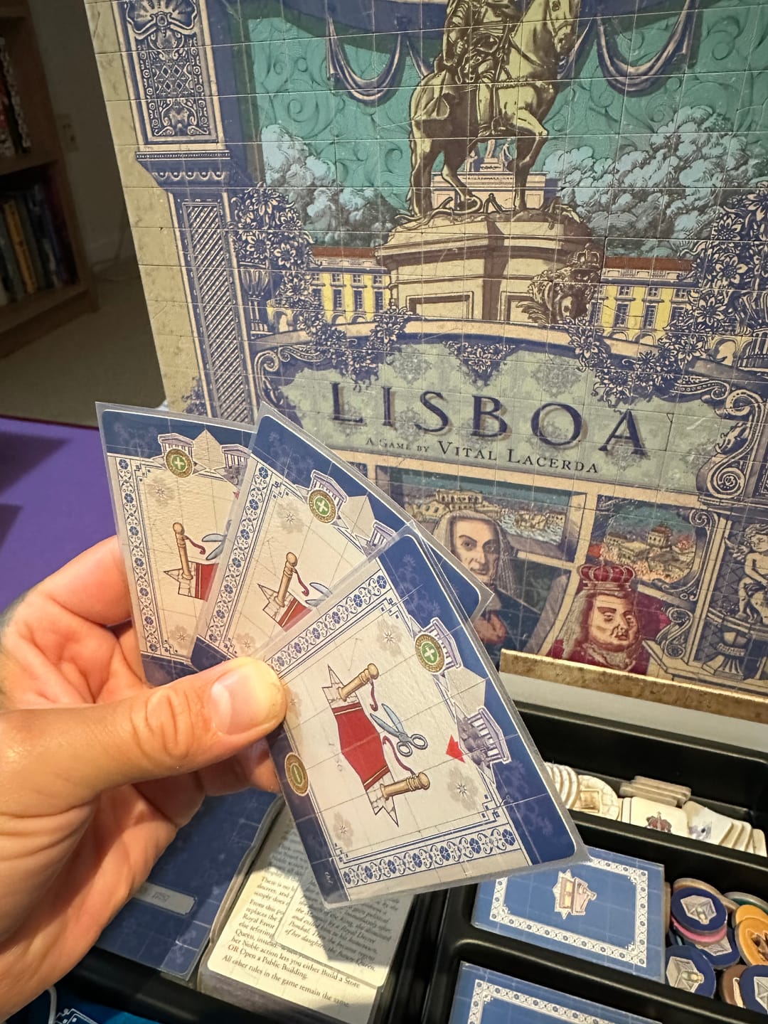 Customer photo review of Lisboa Card Sleeve Kit