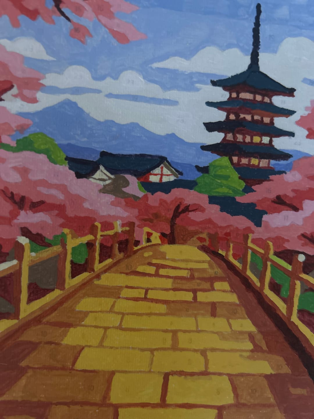 Customer photo review of 6 Mini Paintings - Japanese Landscapes Set