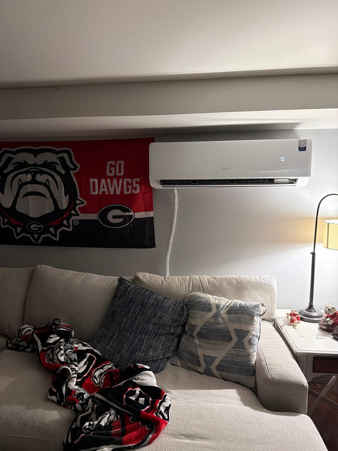 Customer photo review of DELLA Serena Series 24000 BTU 22 SEER2 Mini-Split Heat Pump AC - Up to 1500 Sq.Ft.