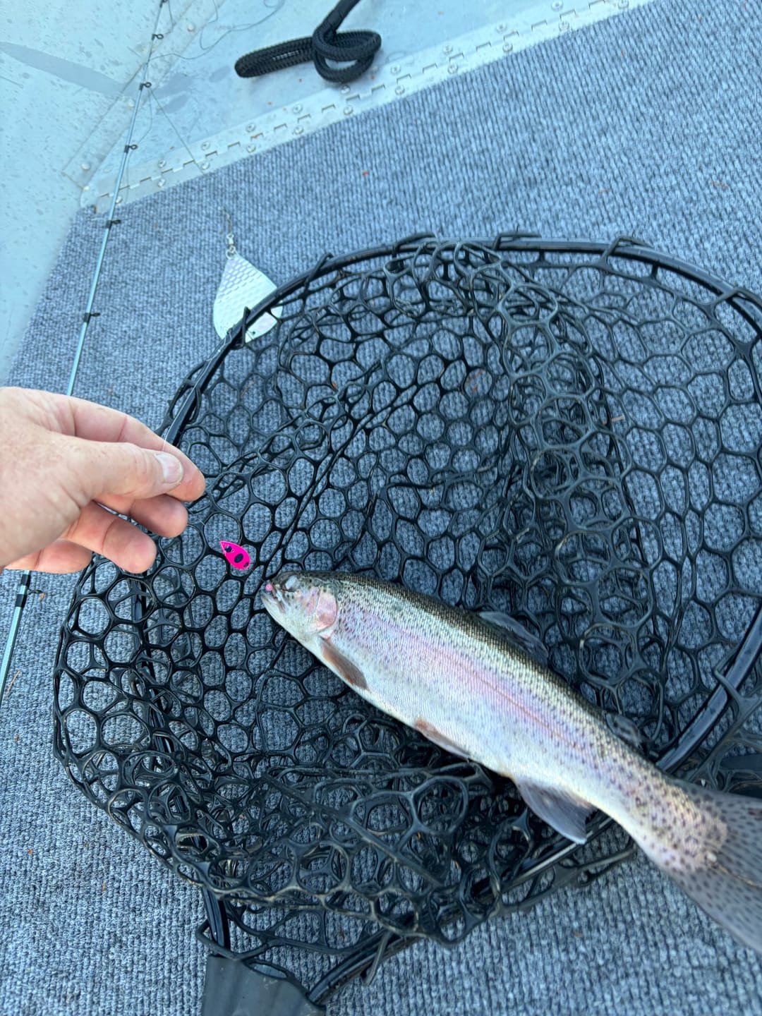 Customer photo review of T-Pex - 1 Inch Kokanee & Trout Trolling Lure