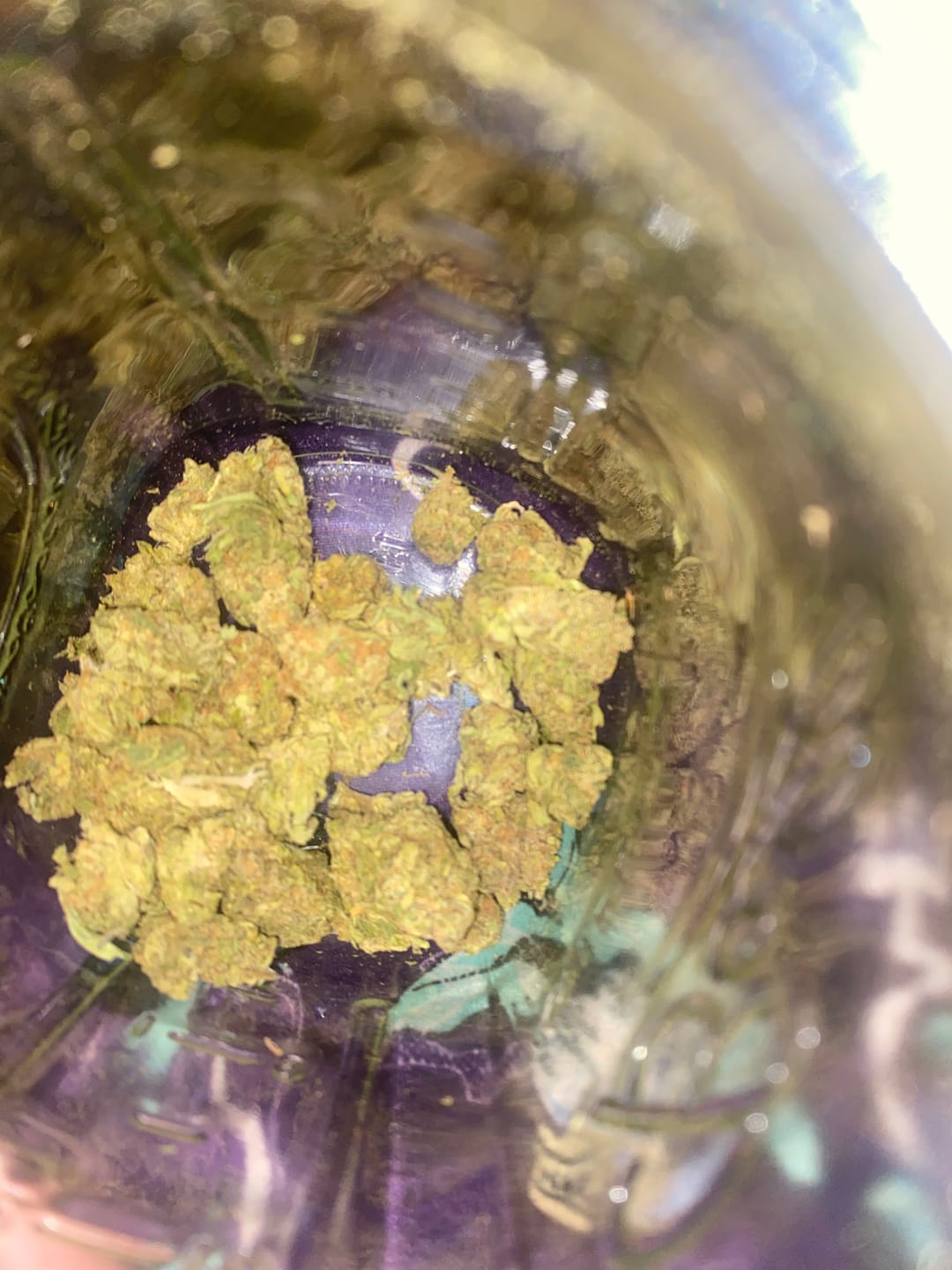 Customer photo review of Candy Gas Light Assist THCA