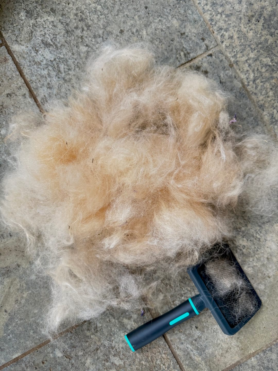 Customer photo review of MORBIDELLO, balsamo alla ceramide per cani e gatti