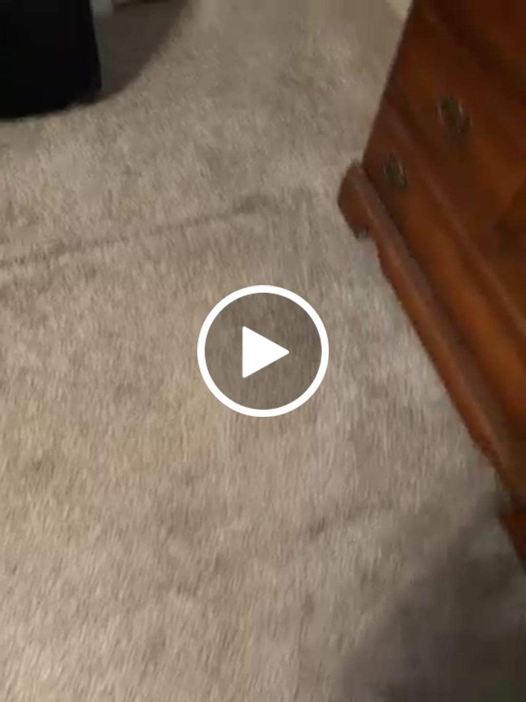 Customer video review of Tulle - Barefoot Shoes