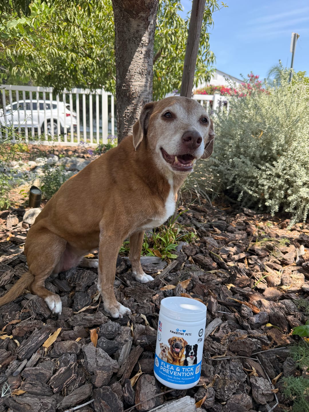 Customer photo review of Flea and Tick Prevention for Dogs – 120 Soft Chews