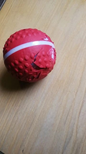 Customer photo review of Pelota Interactiva para Perros y Gatos – Movimiento Automático + Carga USB-C