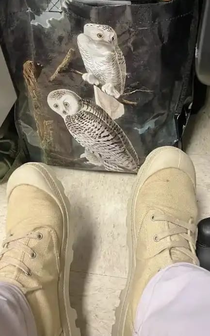 Customer photo review of 02352-221-M | PAMPA HI | SAHARA/SAFARI