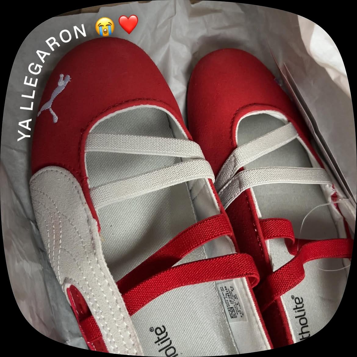 Customer photo review of Puma Speedcat Rojo Blanco Mujer | Estilo ballet sport moderno