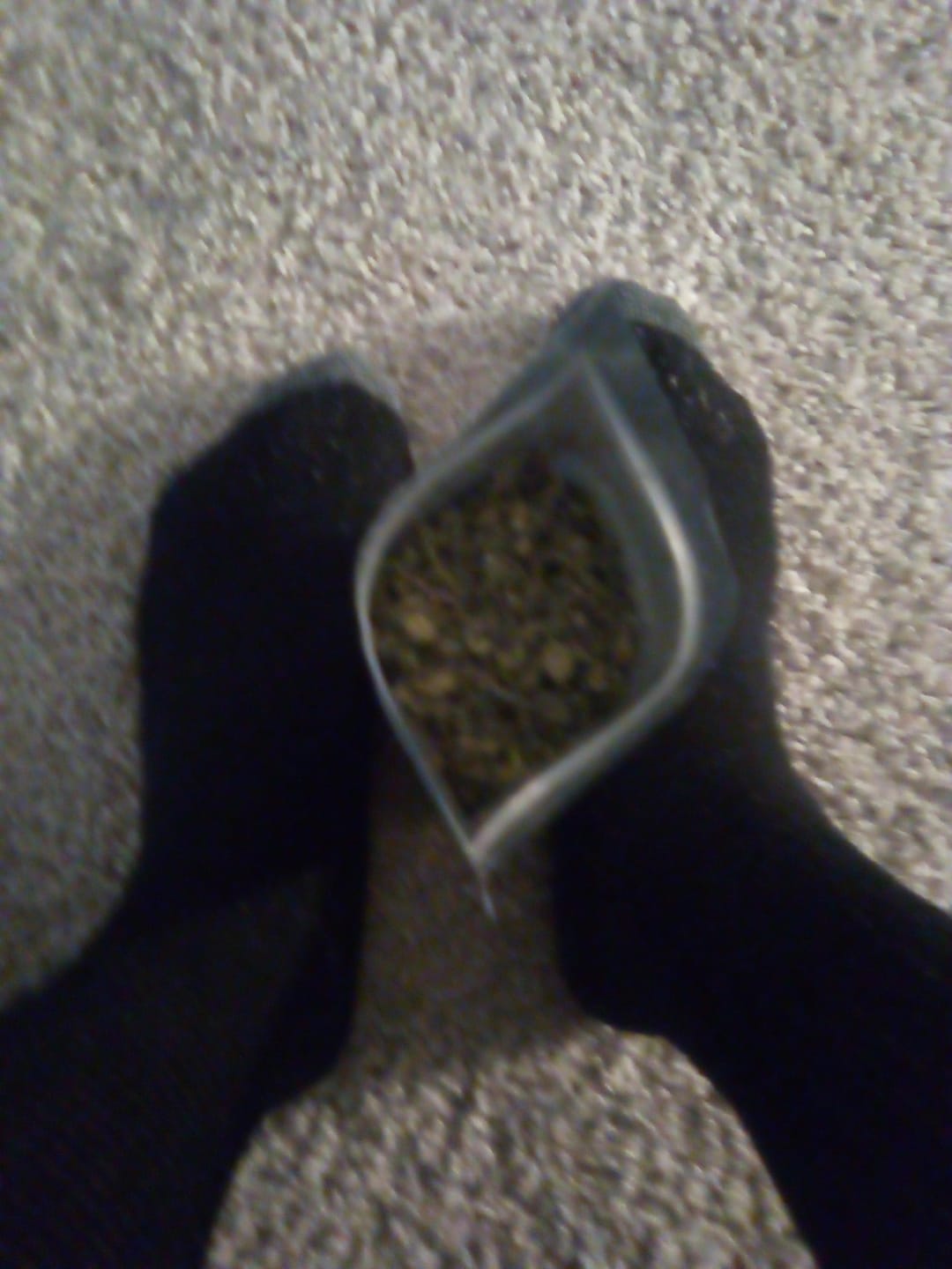 Customer photo review of No1. LA Pop Rock THCa Shake