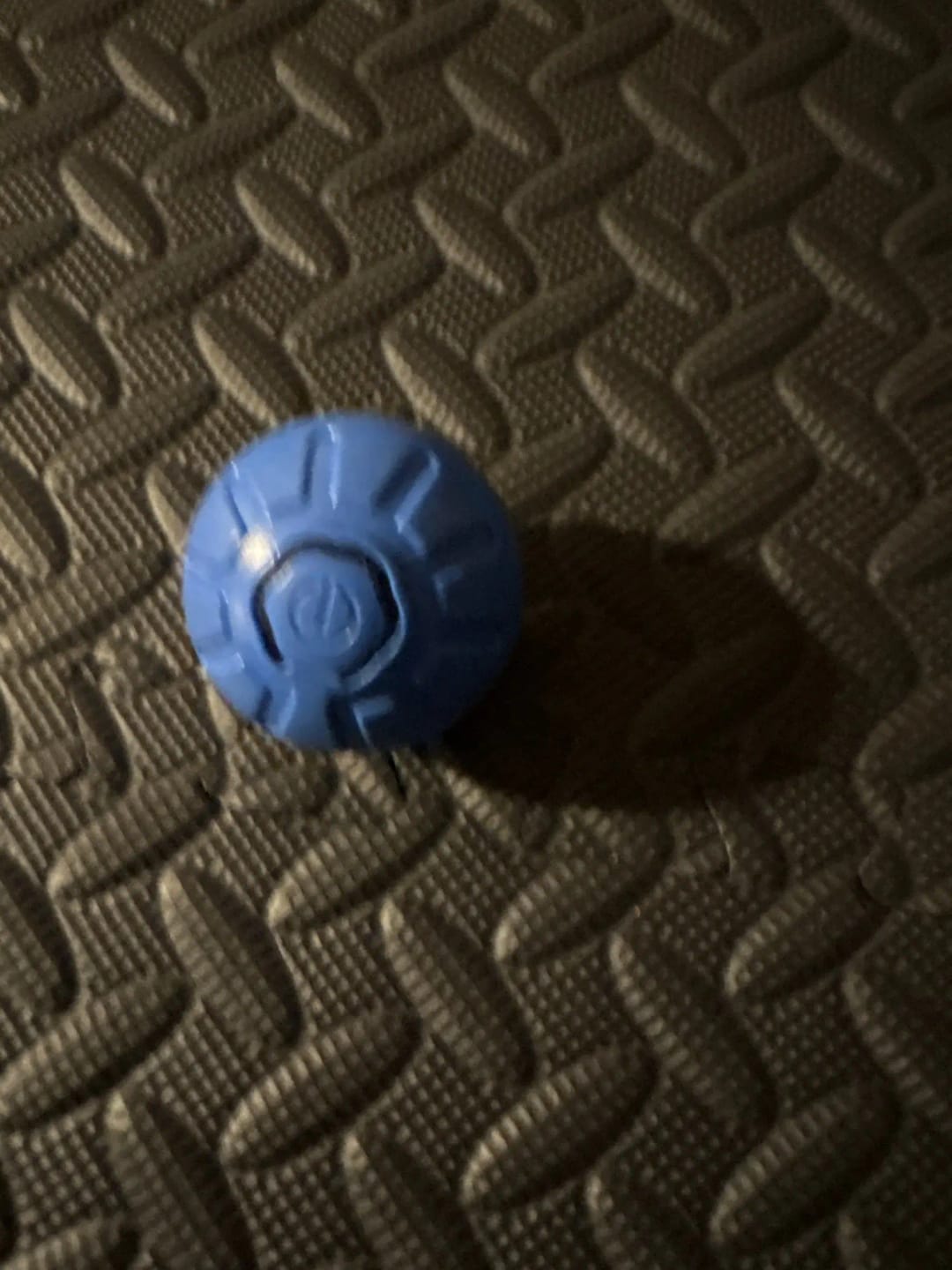 Customer photo review of Pelota Interactiva para Perros y Gatos – Movimiento Automático + Carga USB-C