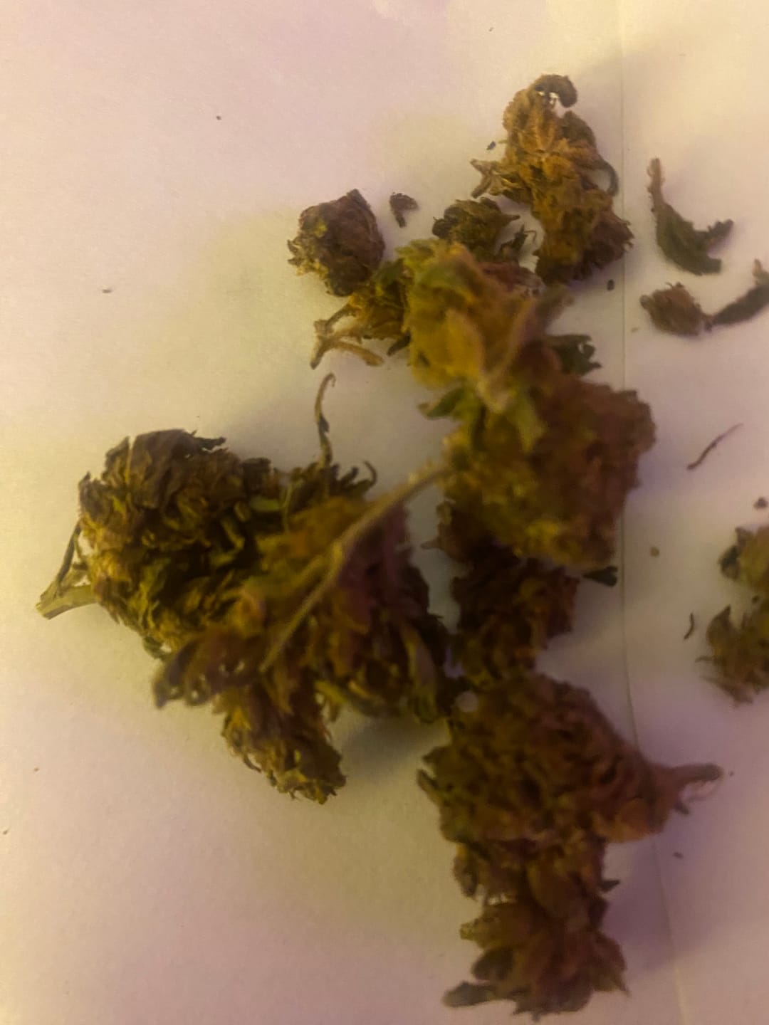 Customer photo review of Purple Kush - 28 Grams - Indica